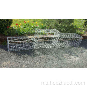 Galvanized Gabion Wire mesh